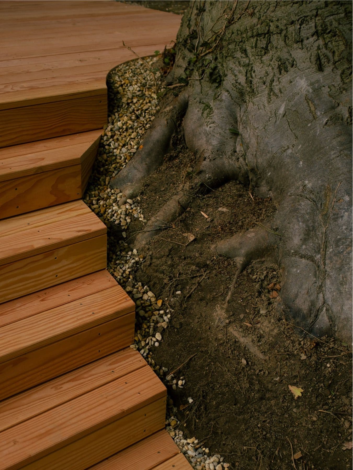 Terrasse Nicolette 6